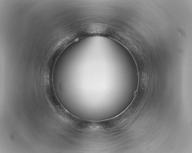 X0000116030547200911201257