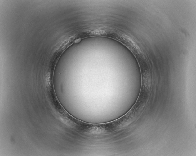 X0000116030549200911201257