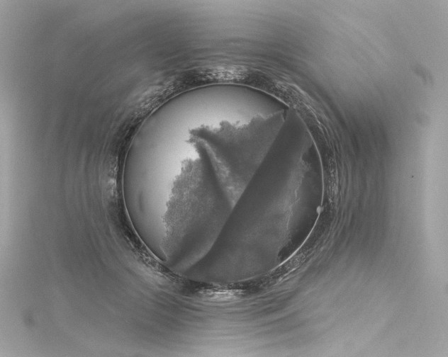 X0000116030553200911201257