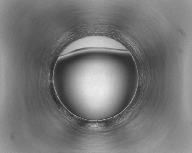 X0000116030557200911201257