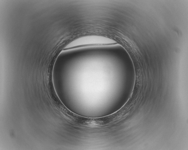 X0000116030558200911201257