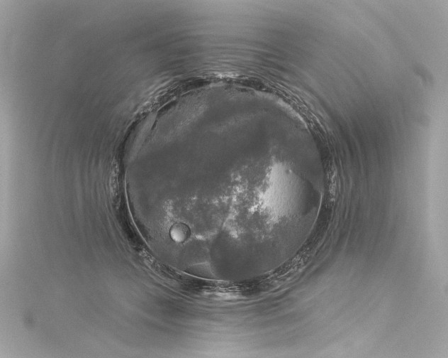 X0000116030559200911201257