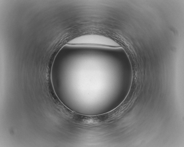 X0000116030561200911201257