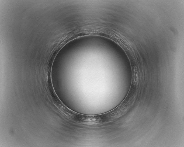 X0000116030562200911201257
