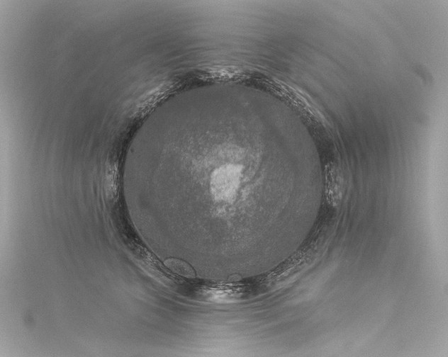 X0000116030563200911201257