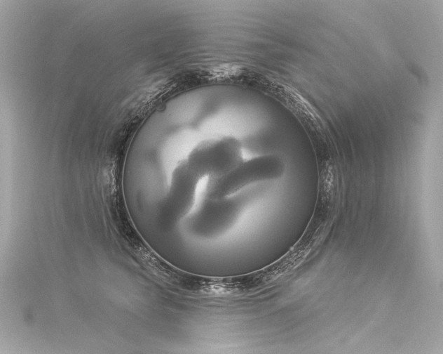 X0000116030565200911201257