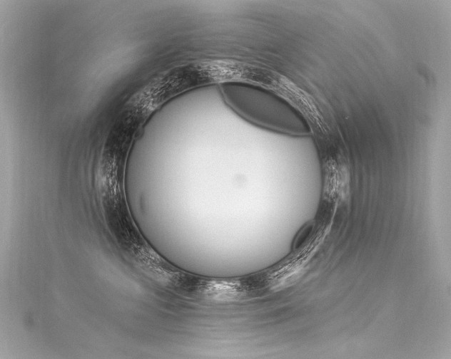 X0000116030573200911201257