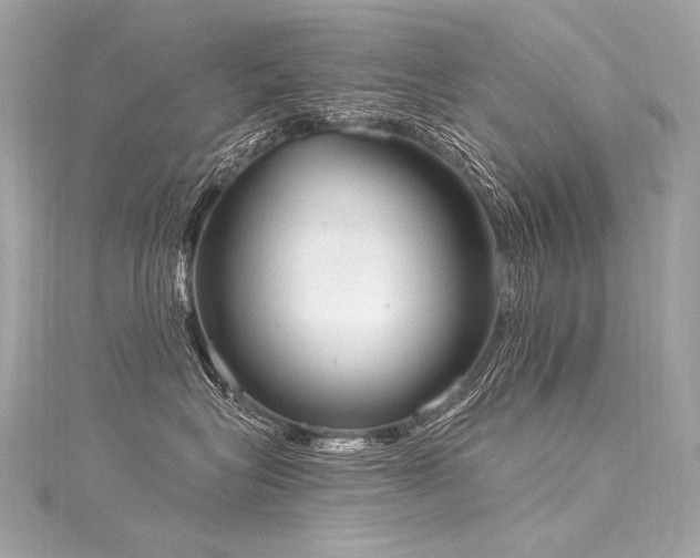 X0000116030575200911201257