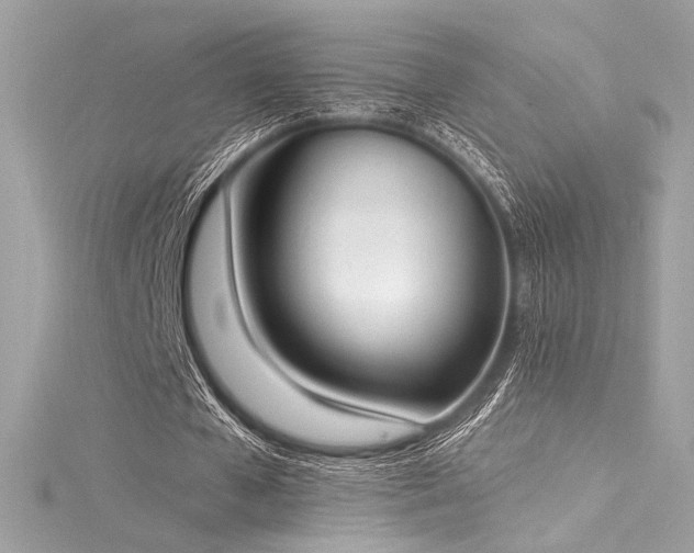 X0000116030577200911201257
