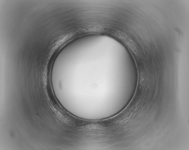 X0000116030578200911201257