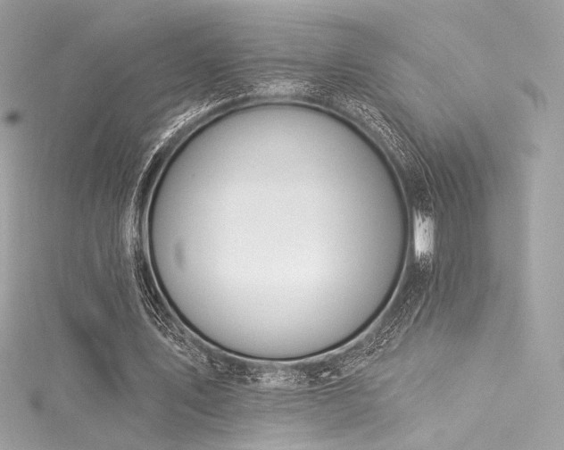 X0000116030579200911201257