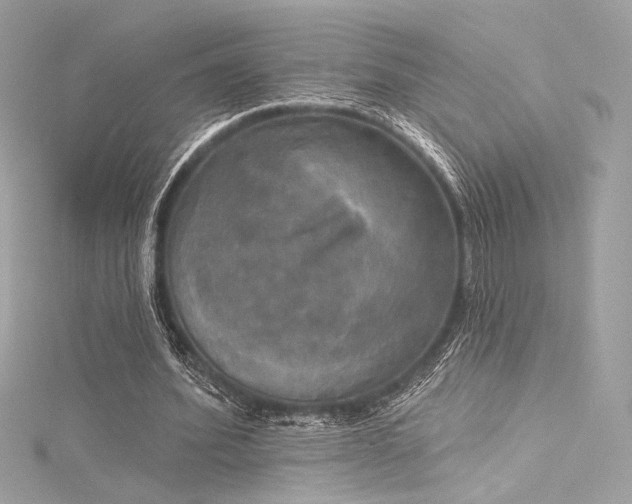 X0000116030580200911201257