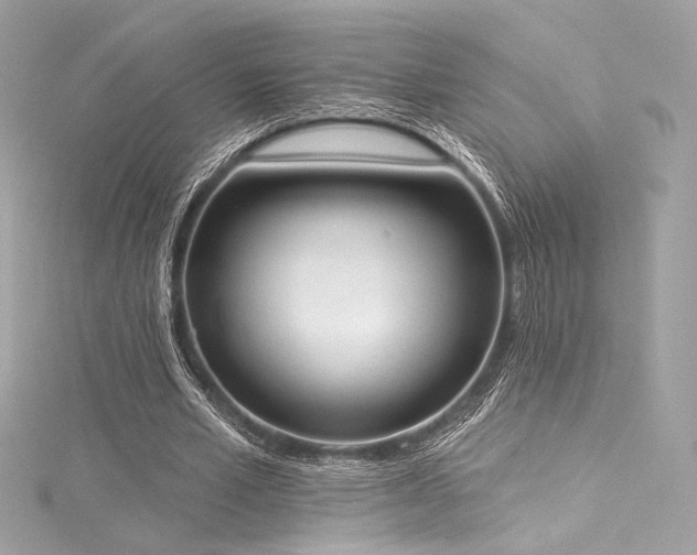 X0000116030581200911201257