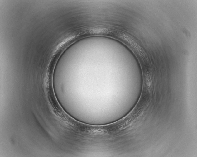 X0000116030583200911201257