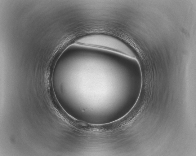 X0000116030585200911201257