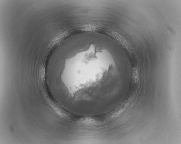 X0000116030589200911201256
