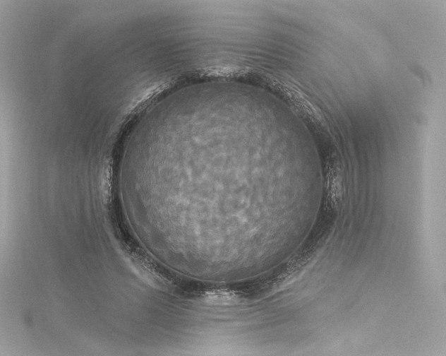 X0000116030591200911201256