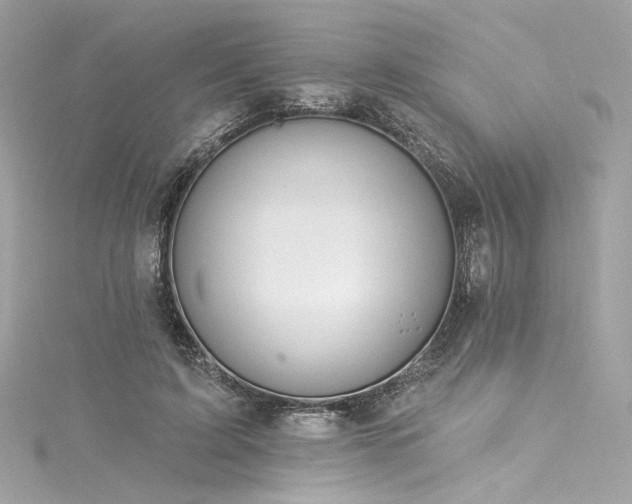 X0000116030595200911201256