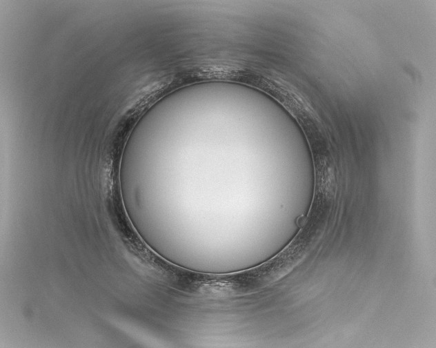 X0000116030599200911201256