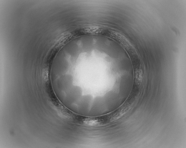 X0000116030602200911201256