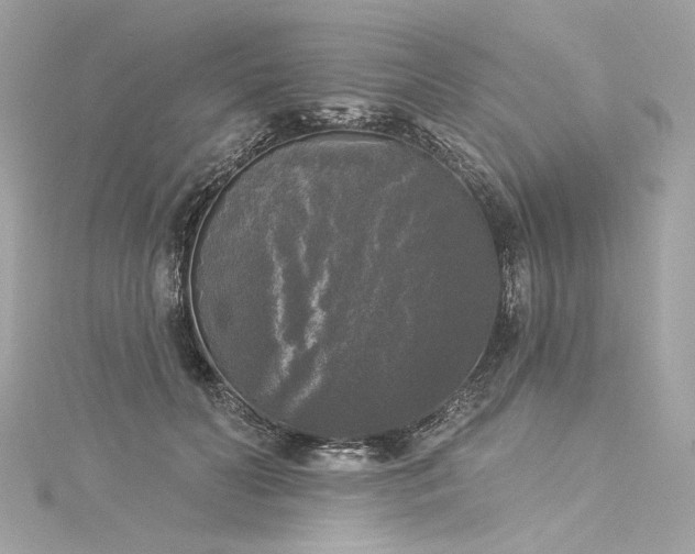 X0000116030606200911201256