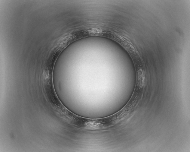 X0000116030614200911201256