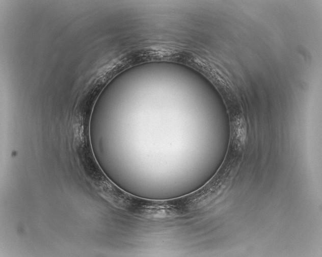 X0000116030615200911201256