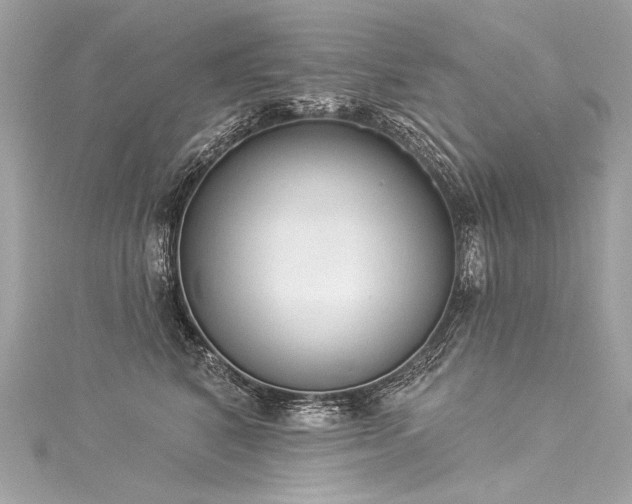 X0000116030616200911201256
