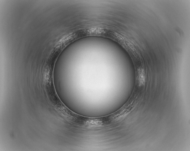 X0000116030619200911201256