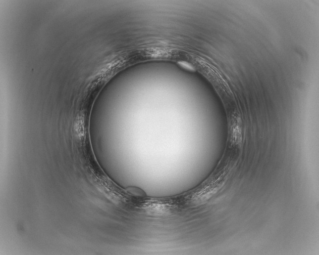 X0000116030620200911201256