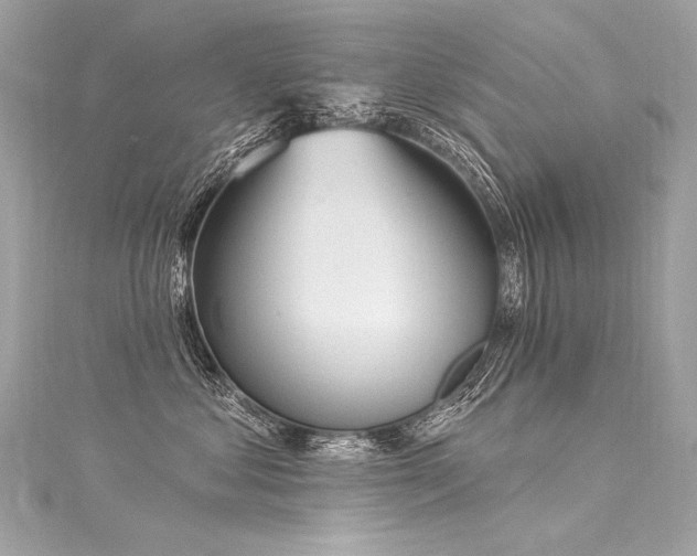 X0000116030621200911201256