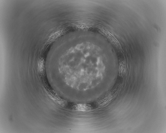 X0000116030623200911201256