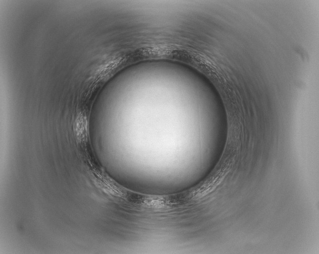 X0000116030624200911201256