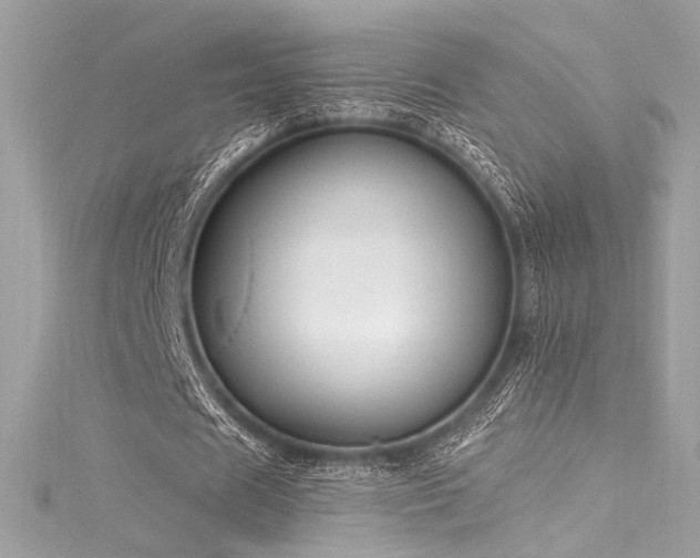 X0000116030625200911201255