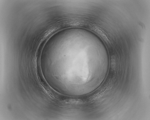 X0000116030626200911201255