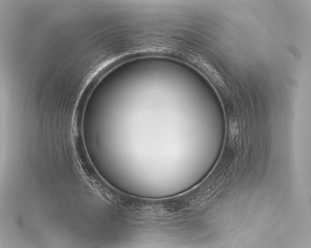 X0000116030628200911201255