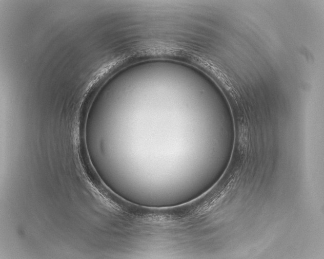 X0000116030629200911201255