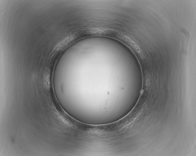 X0000116030633200911201256