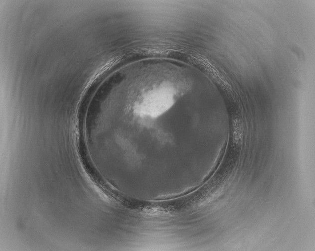 X0000116030634200911201256