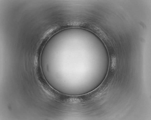 X0000116030636200911201256
