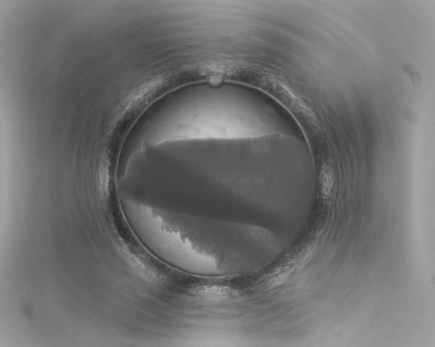 X0000116030637200911201256