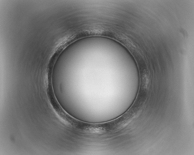 X0000116030638200911201256