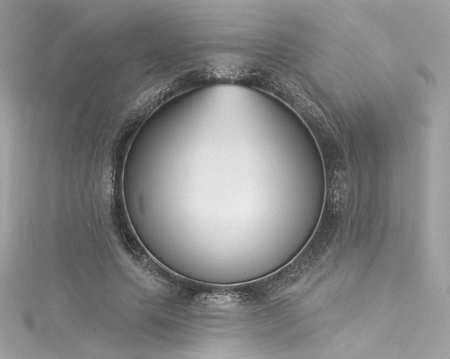 X0000116030639200911201256