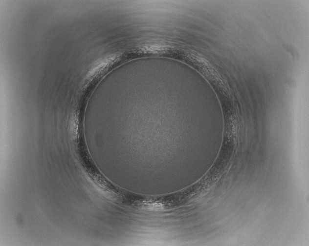 X0000116030640200911201256