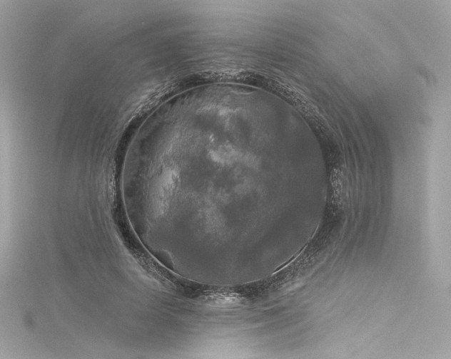 X0000116030642200911201256