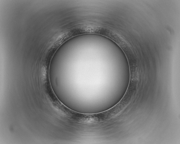 X0000116030646200911201256