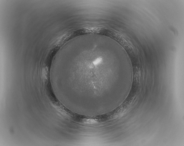X0000116030649200911201256