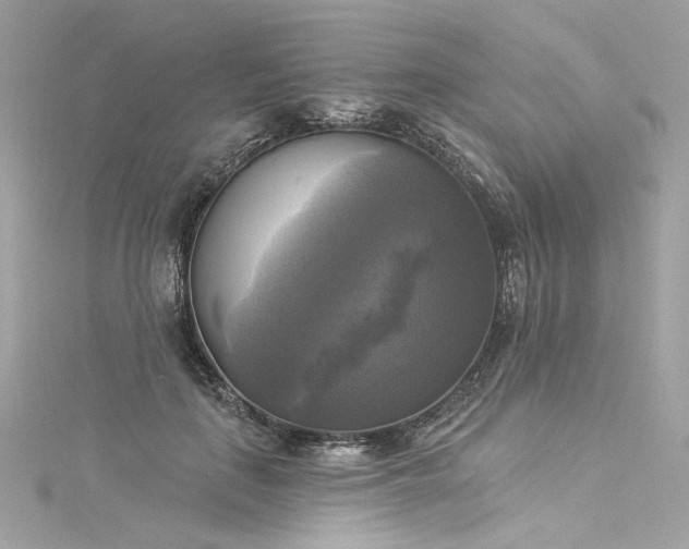 X0000116030651200911201256
