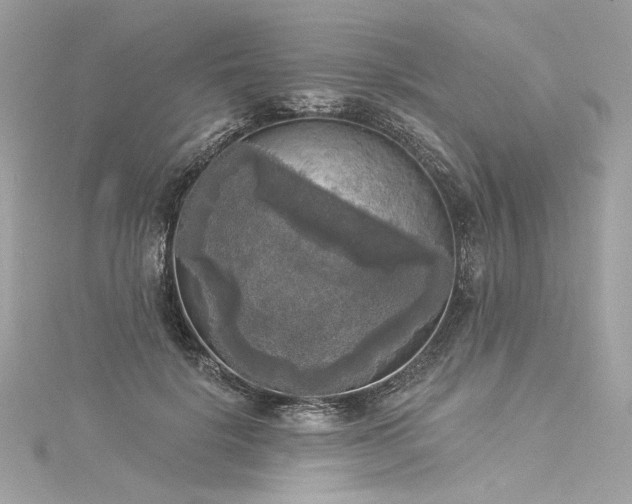 X0000116030652200911201256