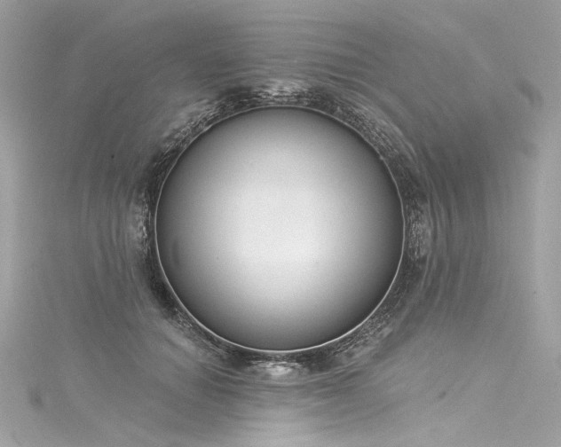 X0000116030654200911201256